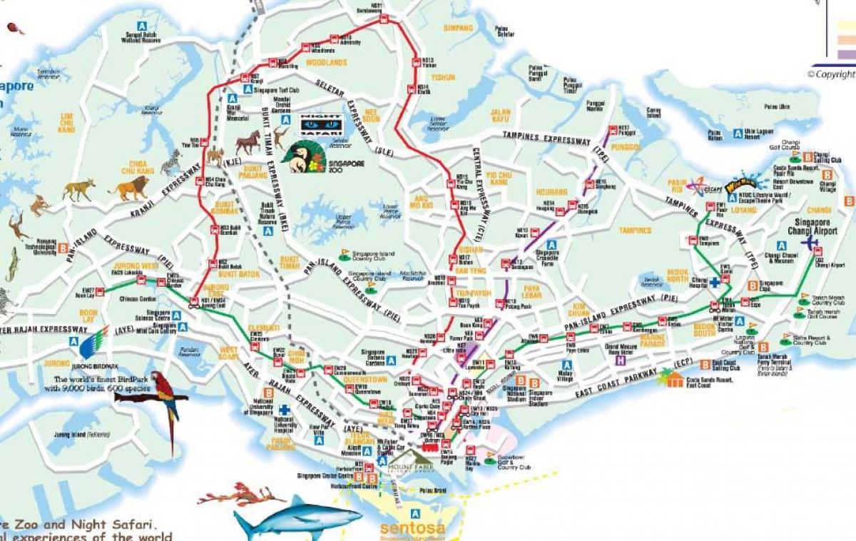 авто замын газрын зураг нь Сингапур